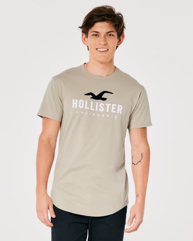 Tops Hollister Men Curved Hem Logo Graphic Tee 48820868 Tan