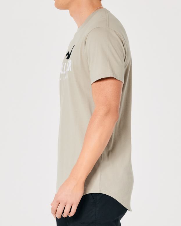 Tops Hollister Men Curved Hem Logo Graphic Tee 48820868 Tan