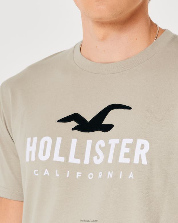 Tops Hollister Men Curved Hem Logo Graphic Tee 48820868 Tan