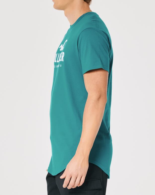 Tops Hollister Men Curved Hem Logo Graphic Tee 48820870 Dark Teal