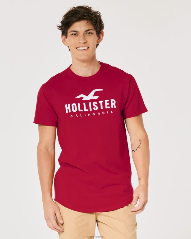 Tops Hollister Men Curved Hem Logo Graphic Tee 48820926 Red