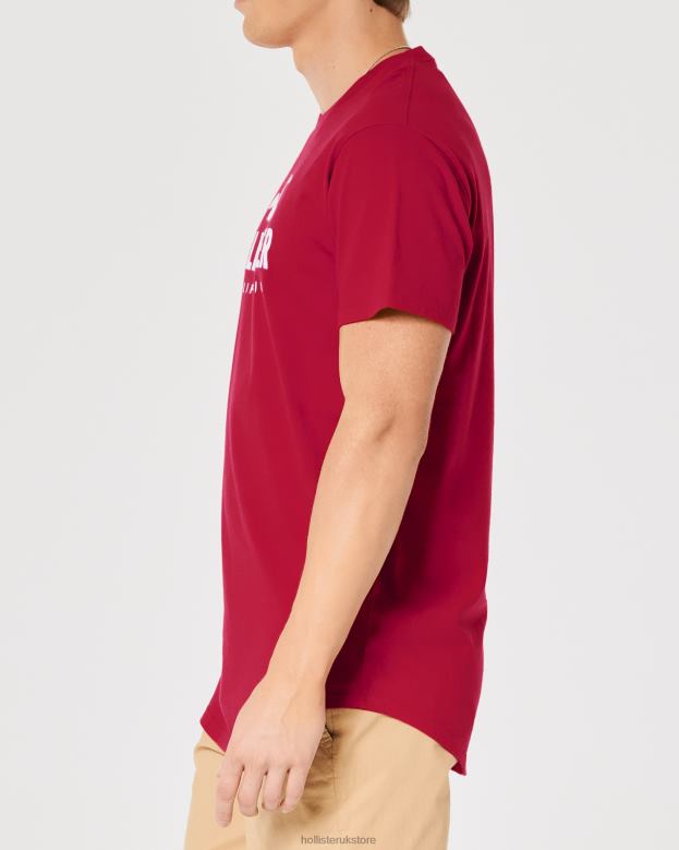 Tops Hollister Men Curved Hem Logo Graphic Tee 48820926 Red