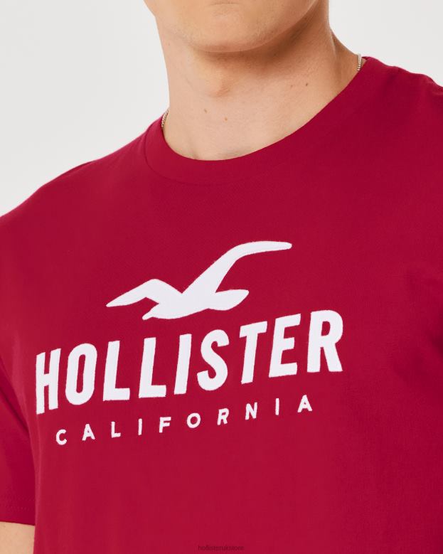 Tops Hollister Men Curved Hem Logo Graphic Tee 48820926 Red