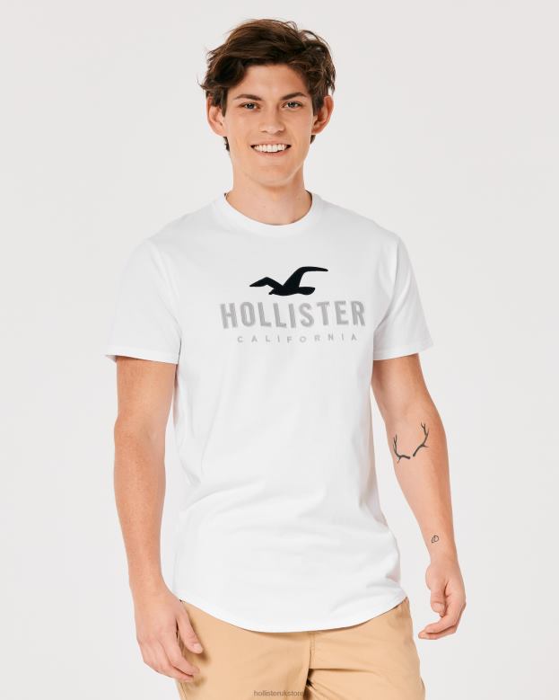 Tops Hollister Men Curved Hem Logo Graphic Tee 48820959 White