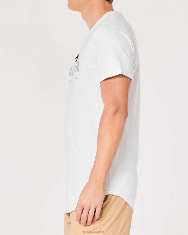 Tops Hollister Men Curved Hem Logo Graphic Tee 48820959 White