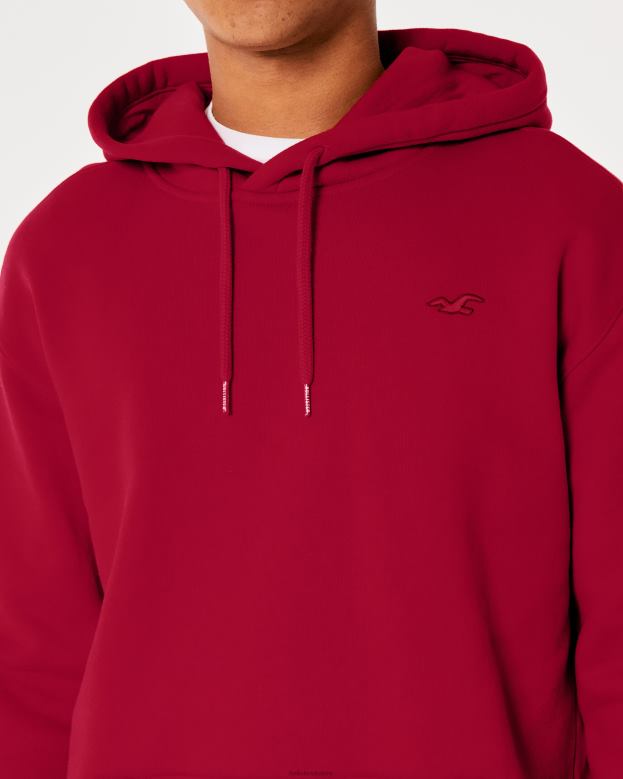 Tops Hollister Men Feel Good Icon Hoodie 48820993 Red