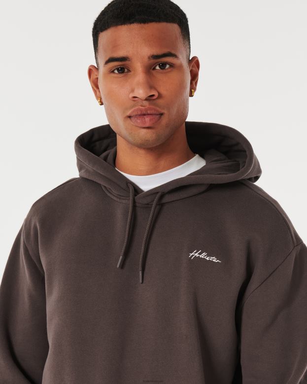 Tops Hollister Men Feel Good Relaxed Logo Hoodie 48820973 Dark Brown