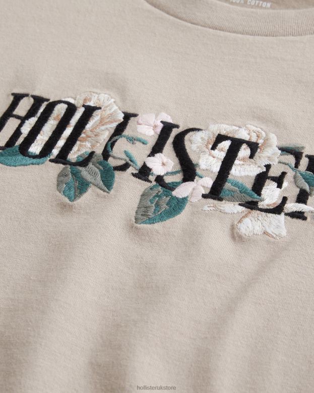 Tops Hollister Men Floral Logo Graphic Tee 488201002 Light Brown