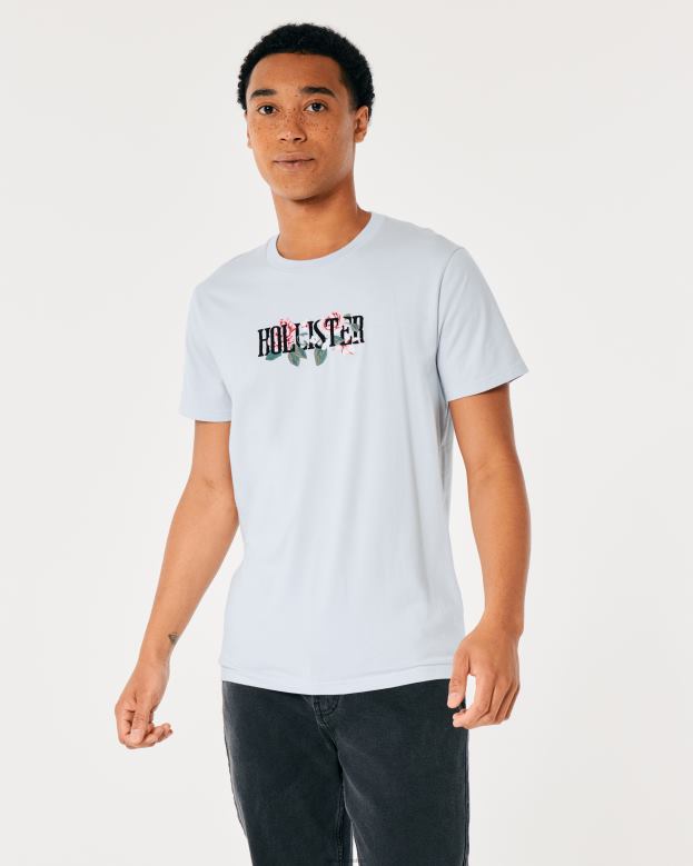 Tops Hollister Men Floral Logo Graphic Tee 488201056 Light Blue