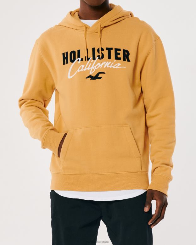 Tops Hollister Men Logo Graphic Hoodie 488201017 Yellow
