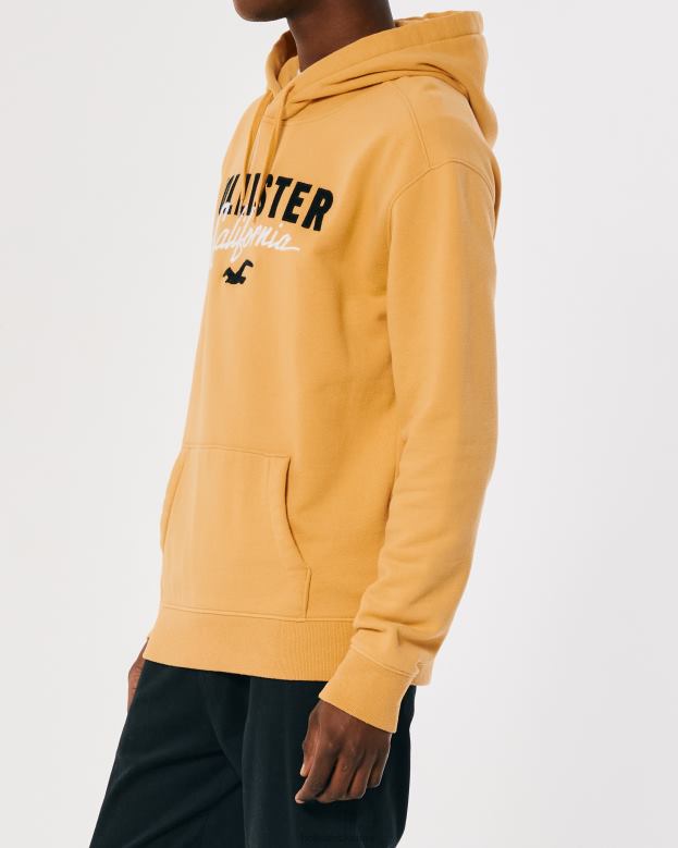 Tops Hollister Men Logo Graphic Hoodie 488201017 Yellow