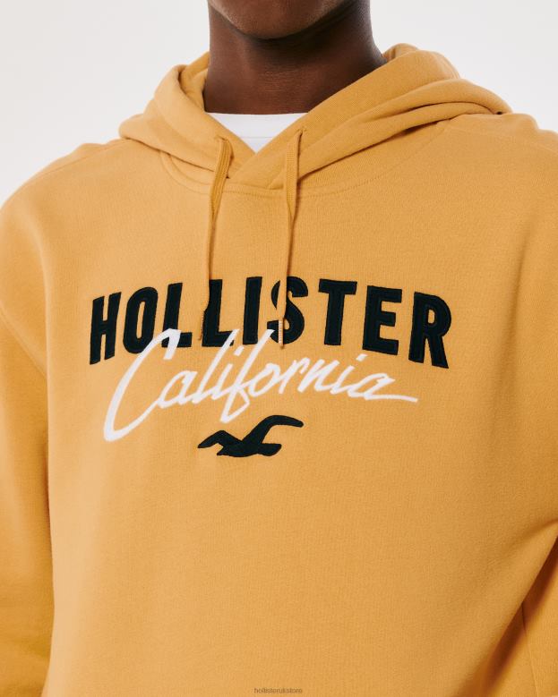 Tops Hollister Men Logo Graphic Hoodie 488201017 Yellow
