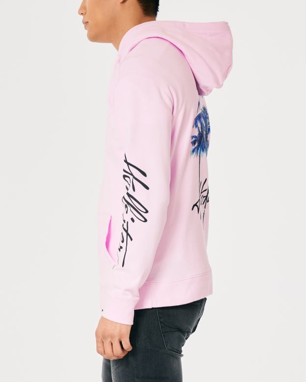 Tops Hollister Men Logo Graphic Hoodie 488201024 Pink