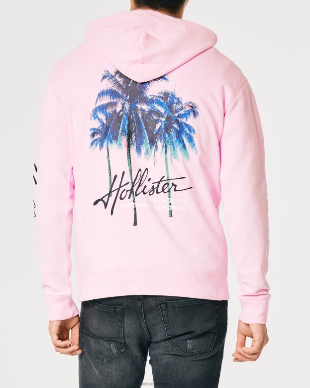 Tops Hollister Men Logo Graphic Hoodie 488201024 Pink