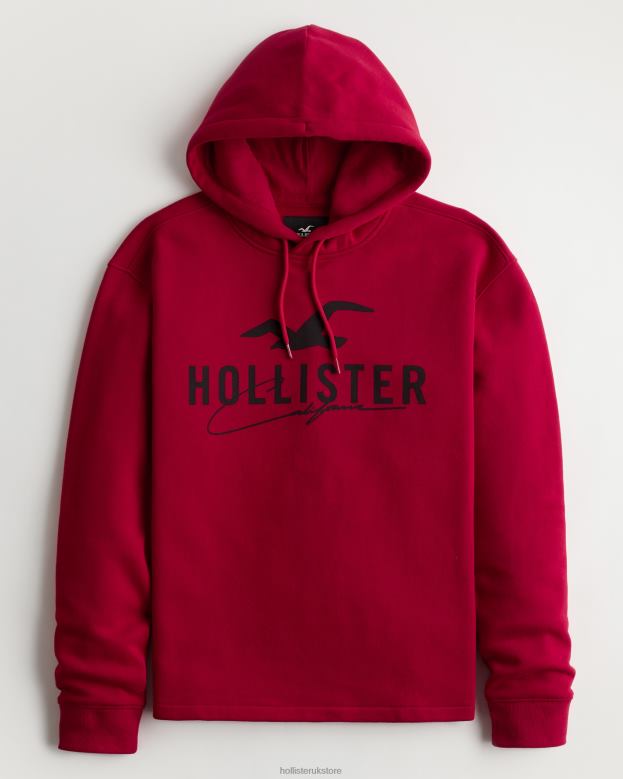 Tops Hollister Men Logo Graphic Hoodie 488201034 Red