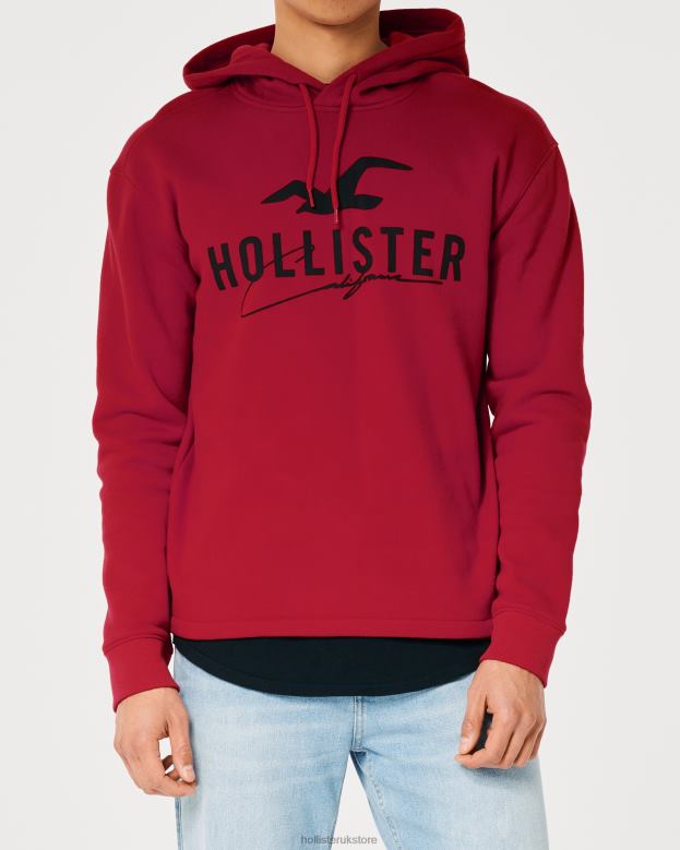 Tops Hollister Men Logo Graphic Hoodie 488201034 Red