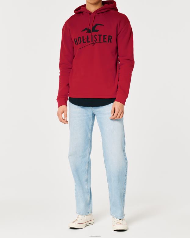 Tops Hollister Men Logo Graphic Hoodie 488201034 Red