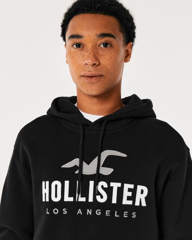 Tops Hollister Men Logo Graphic Hoodie 48820965 Black