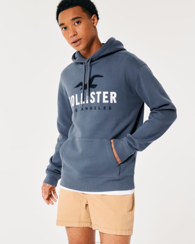 Tops Hollister Men Logo Graphic Hoodie 48820984 Navy