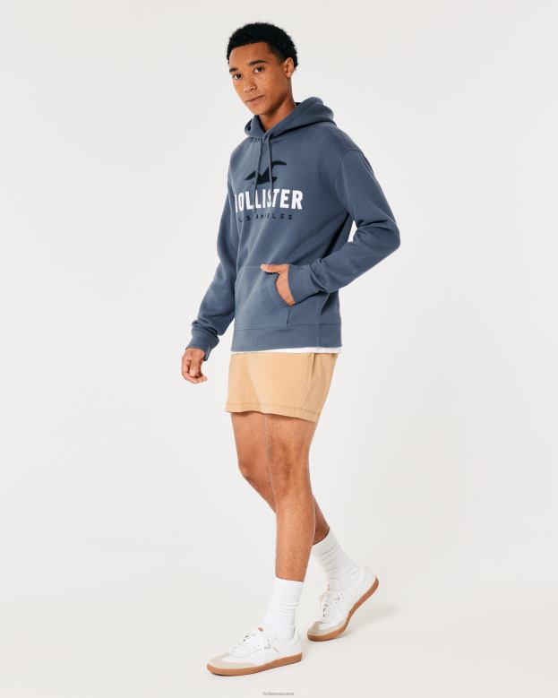 Tops Hollister Men Logo Graphic Hoodie 48820984 Navy