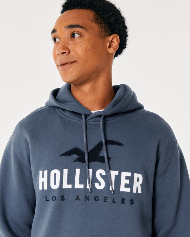 Tops Hollister Men Logo Graphic Hoodie 48820984 Navy