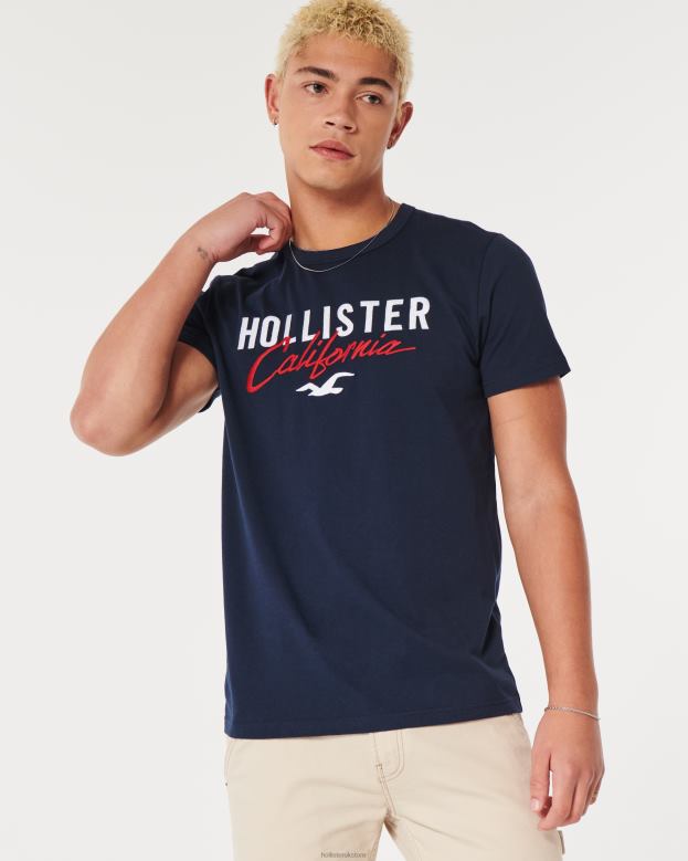 Tops Hollister Men Logo Graphic Tee 48820975 Navy