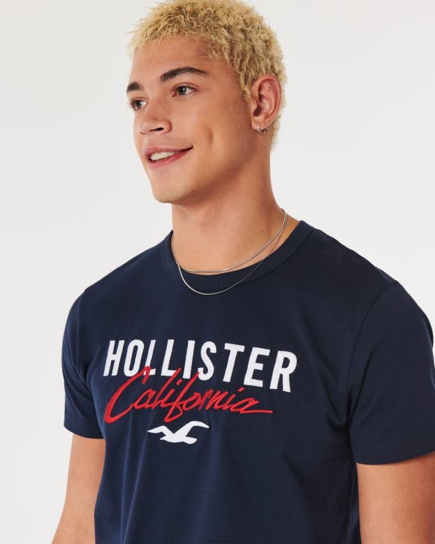 Tops Hollister Men Logo Graphic Tee 48820975 Navy