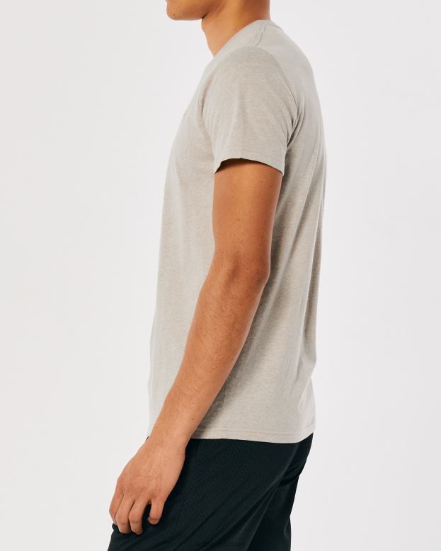 Tops Hollister Men Logo Icon Crew T-Shirt 48820805 Heather Tan