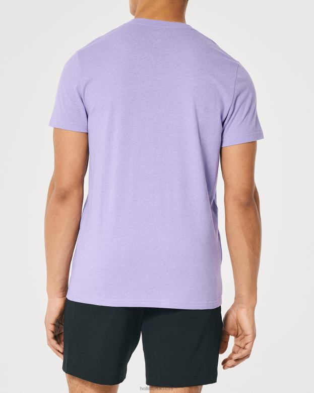 Tops Hollister Men Logo Icon Crew T-Shirt 48820936 Heather Purple