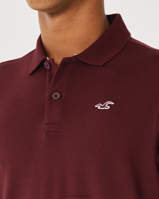 Tops Hollister Men Logo Icon Polo 488201075 Burgundy