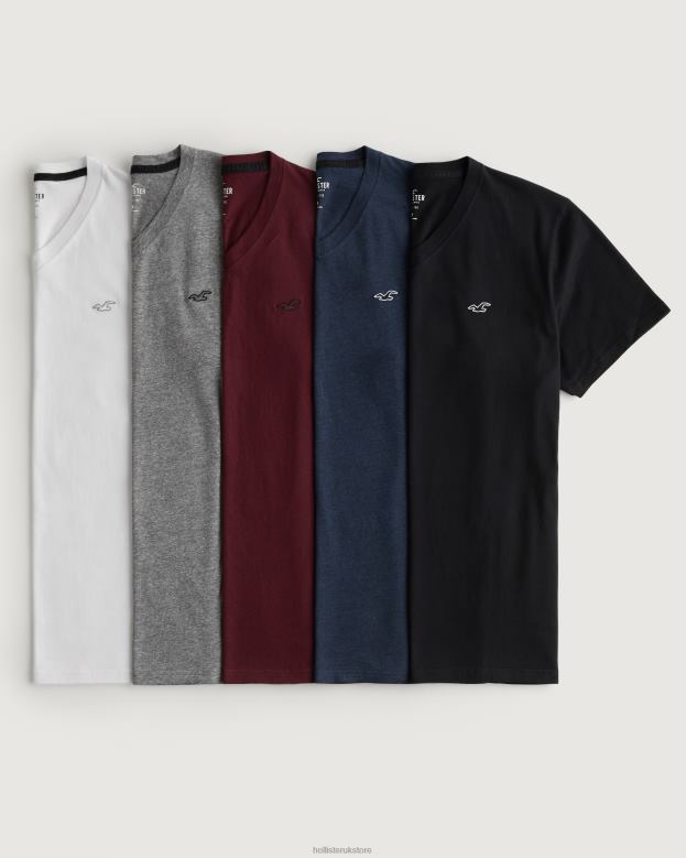 Tops Hollister Men Logo Icon V-Neck T-Shirt 5-Pack 48820814 Multi