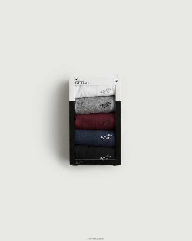 Tops Hollister Men Logo Icon V-Neck T-Shirt 5-Pack 48820814 Multi
