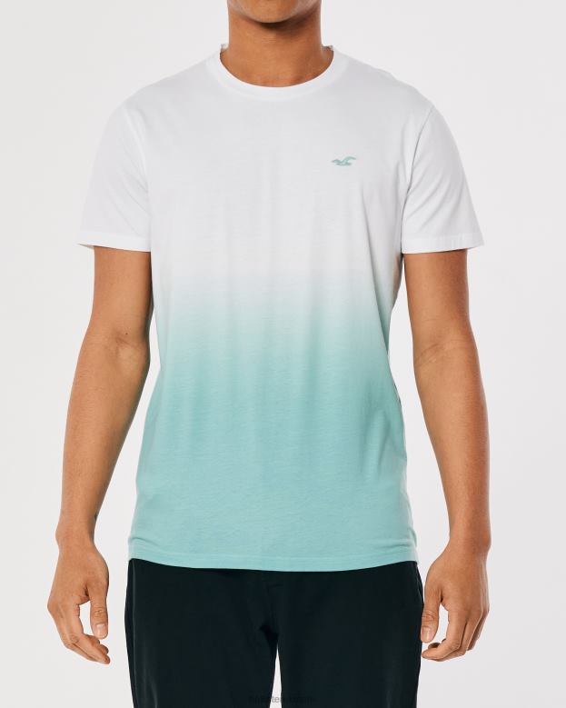 Tops Hollister Men Ombre Logo Icon Cotton T-Shirt 48820905 White To Mint Ombre
