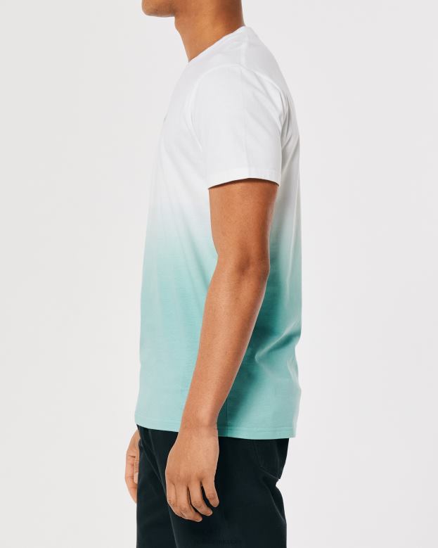 Tops Hollister Men Ombre Logo Icon Cotton T-Shirt 48820905 White To Mint Ombre