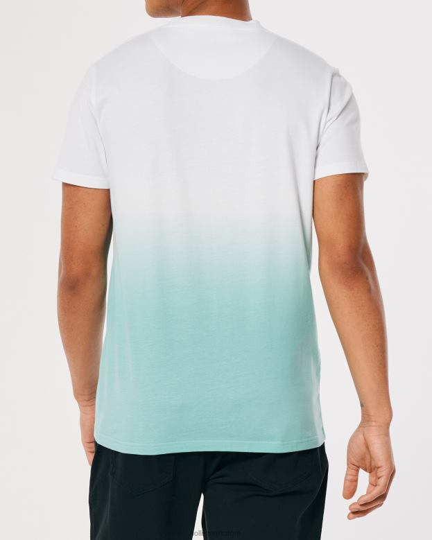 Tops Hollister Men Ombre Logo Icon Cotton T-Shirt 48820905 White To Mint Ombre