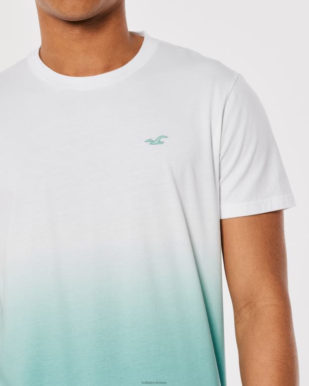 Tops Hollister Men Ombre Logo Icon Cotton T-Shirt 48820905 White To Mint Ombre