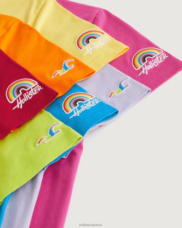 Tops Hollister Men Pride Logo Crew T-Shirts 4882074 Multi 7 Bright