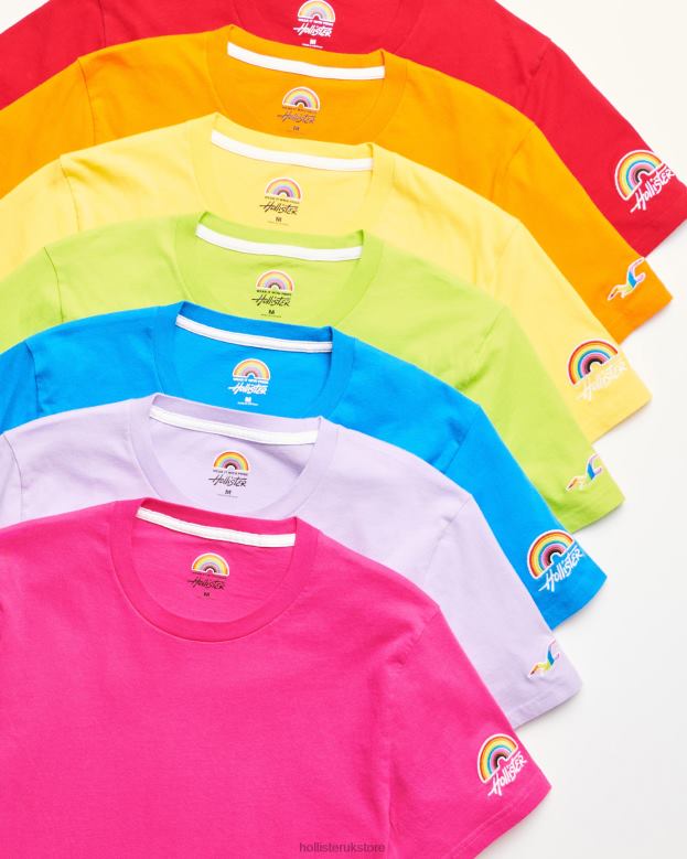 Tops Hollister Men Pride Logo Crew T-Shirts 4882074 Multi 7 Bright