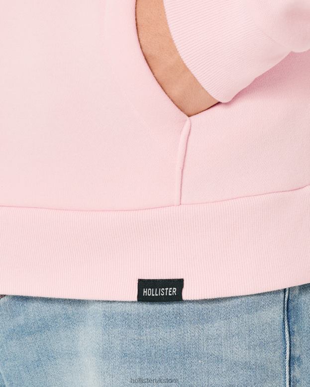 Tops Hollister Men Relaxed Hoodie 488201020 Pink