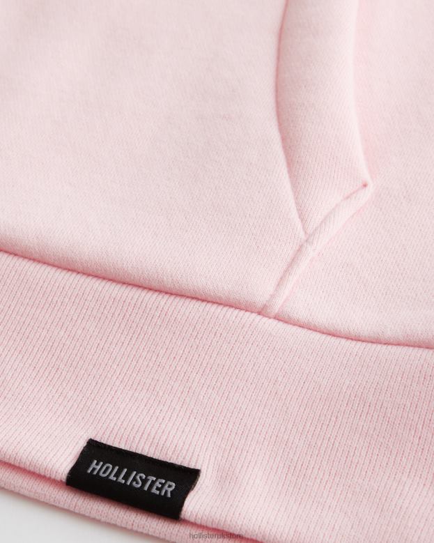 Tops Hollister Men Relaxed Hoodie 488201020 Pink