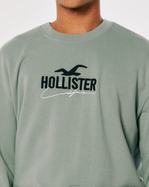 Tops Hollister Men Relaxed Logo Crew Sweatshirt 48820845 Sage