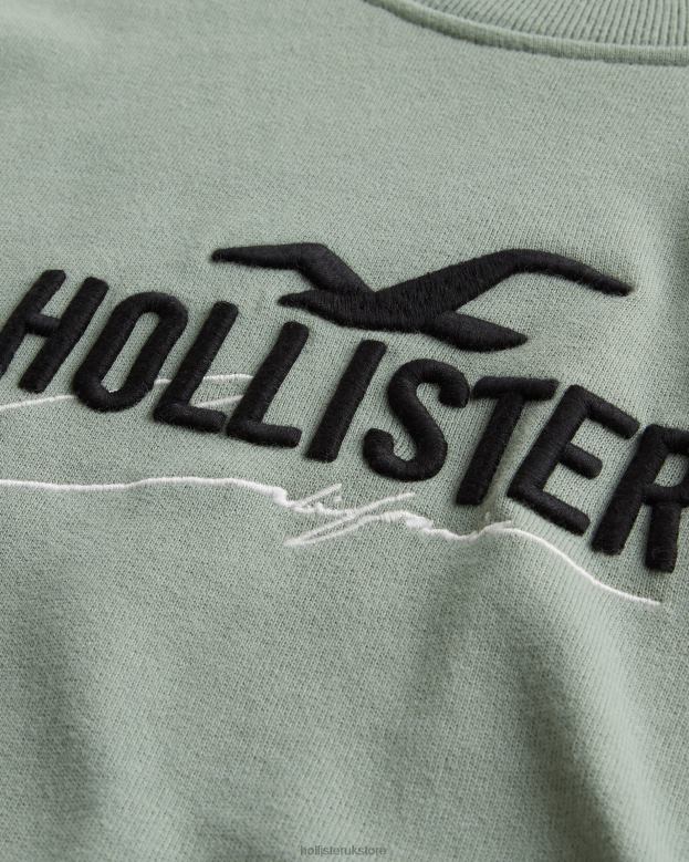 Tops Hollister Men Relaxed Logo Crew Sweatshirt 48820845 Sage