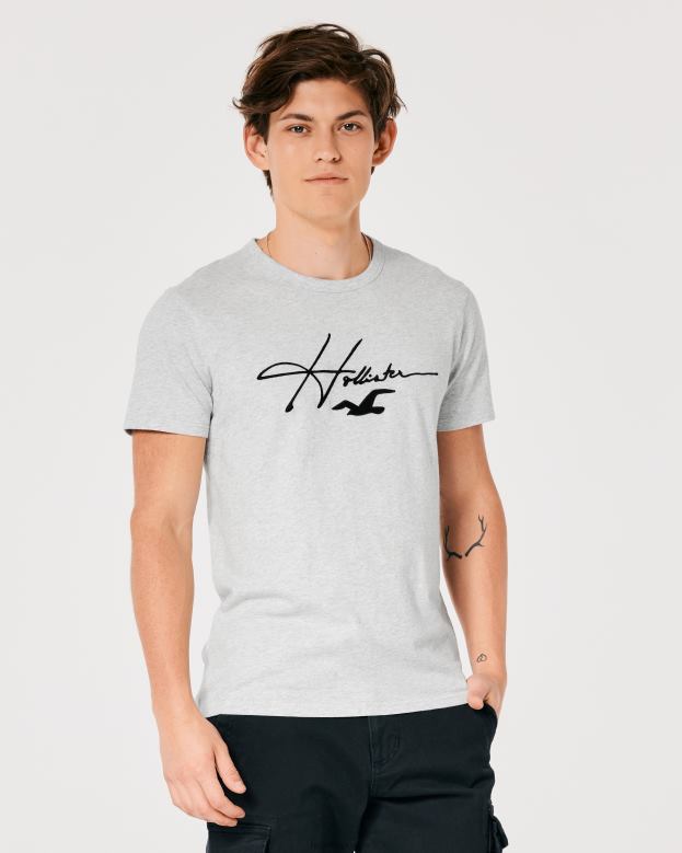 Tops Hollister Men Signature Logo Graphic Tee 48820891 Light Heather Grey