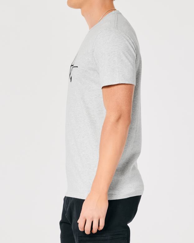 Tops Hollister Men Signature Logo Graphic Tee 48820891 Light Heather Grey