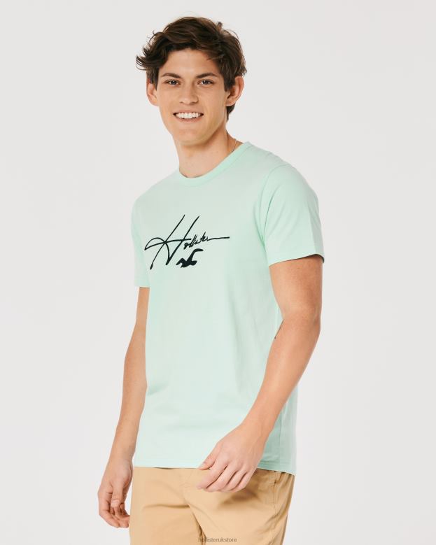 Tops Hollister Men Signature Logo Graphic Tee 48820927 Mint