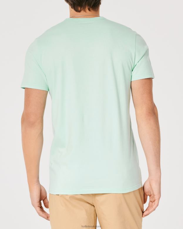 Tops Hollister Men Signature Logo Graphic Tee 48820927 Mint