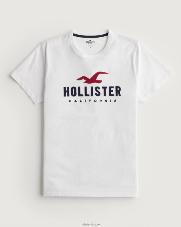 Tops Hollister Men Signature Logo Graphic Tee 48820982 Light Heather Blue