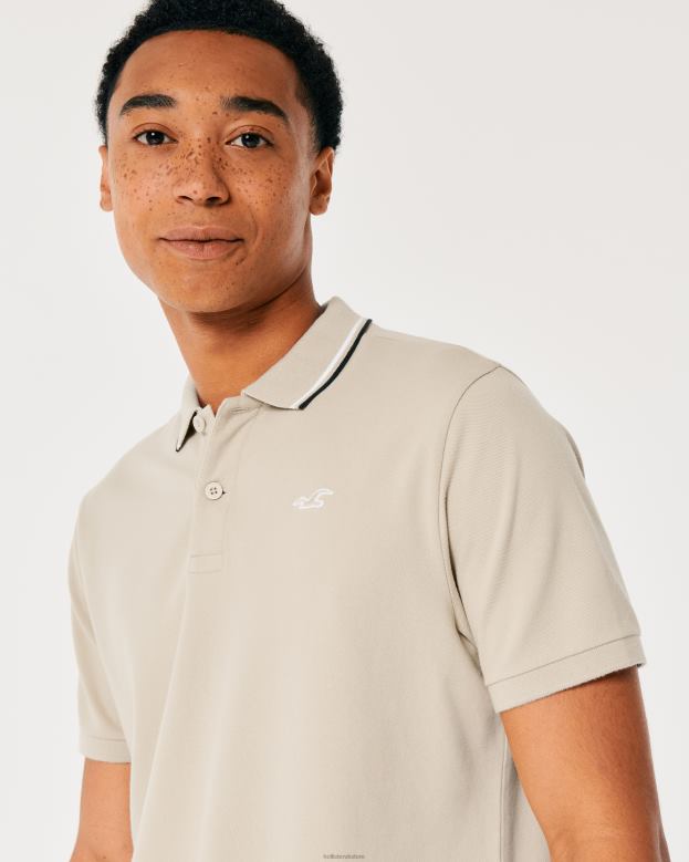 Tops Hollister Men Tipped Collar Icon Polo 48820991 Heather Grey