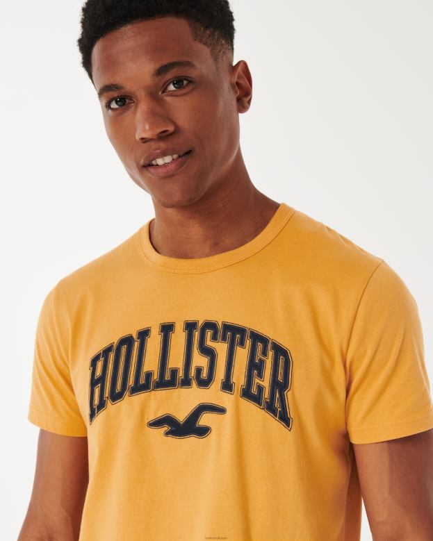 Tops Hollister Men Varsity Logo Graphic Tee 48820885 Dark Yellow