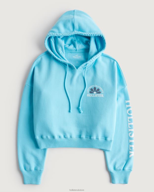 Tops Hollister Women Crop Print Logo Hoodie 48820200 Blue